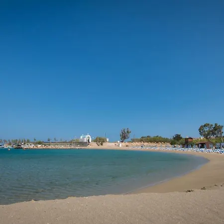 Levanda #40 * Protaras