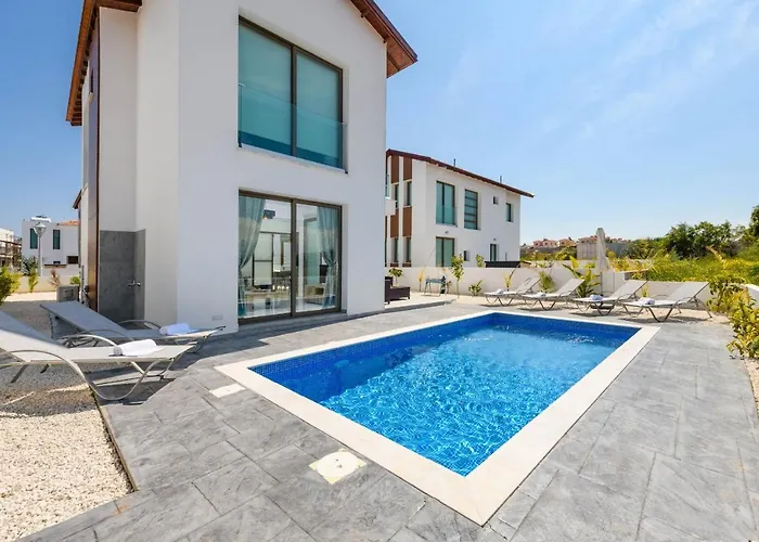 Levanda #40 بروتاراس